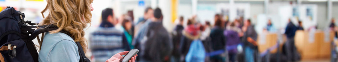 Artigo: Limitação da Responsabilidade Civil Relativa ao Transporte de Passageiros e Suas Bagagens